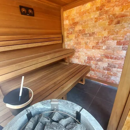 瑞士公园温泉酒店 酒店 霞慕尼