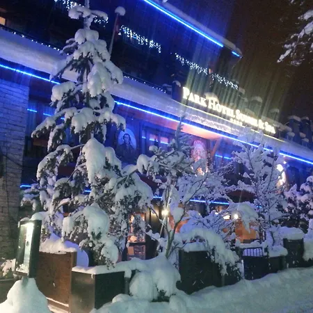 瑞士公园温泉酒店 酒店 4*